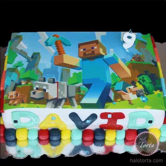 dt0115 Minecraft sa slikom torta torte kolaci