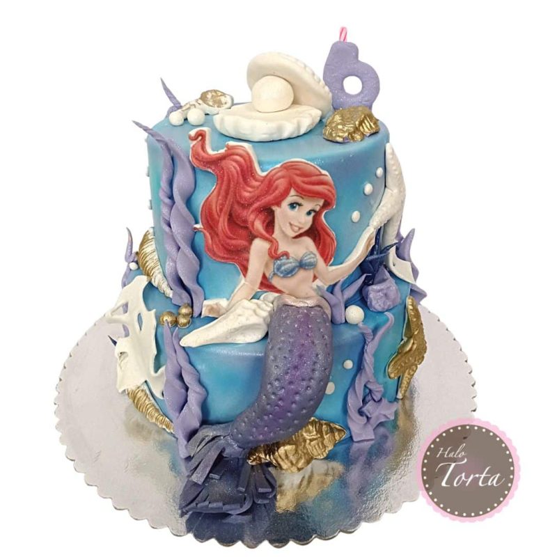 dt1879-Ariel torta sa stikerom