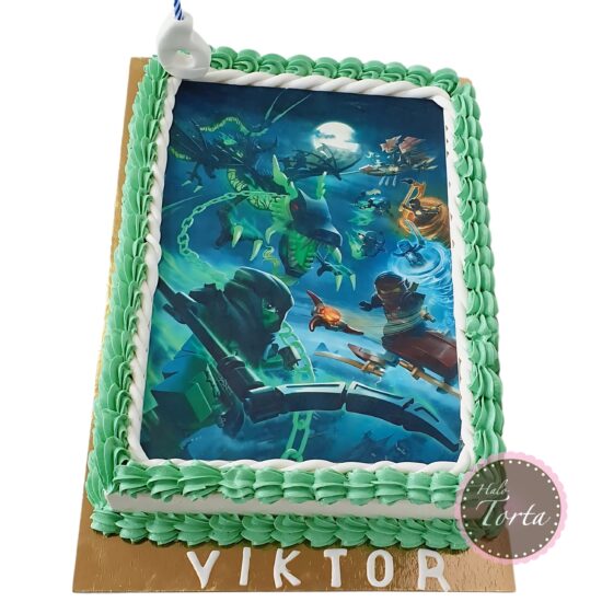 dt0437-Ninjago jestiva slika
