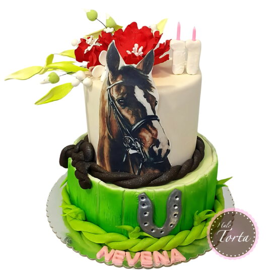 Torta sa slikom konja